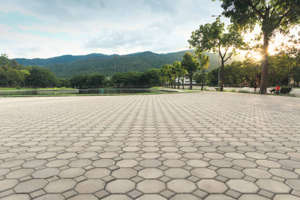 Best Affordable Driveway Pavers  in Olivet, MI