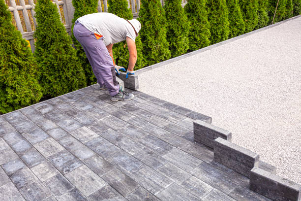 Best Local Driveway Pavers  in Olivet, MI